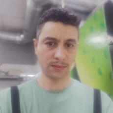 Гаврик, 37