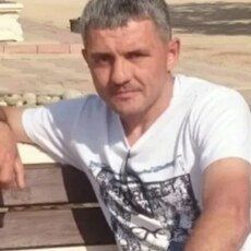 Платон, 50