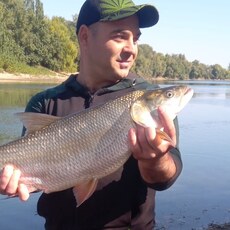 Харитон, 38