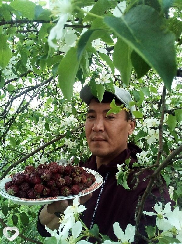 Тимур