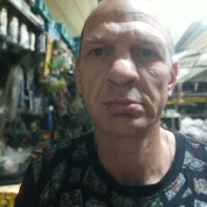Тимофей, 50