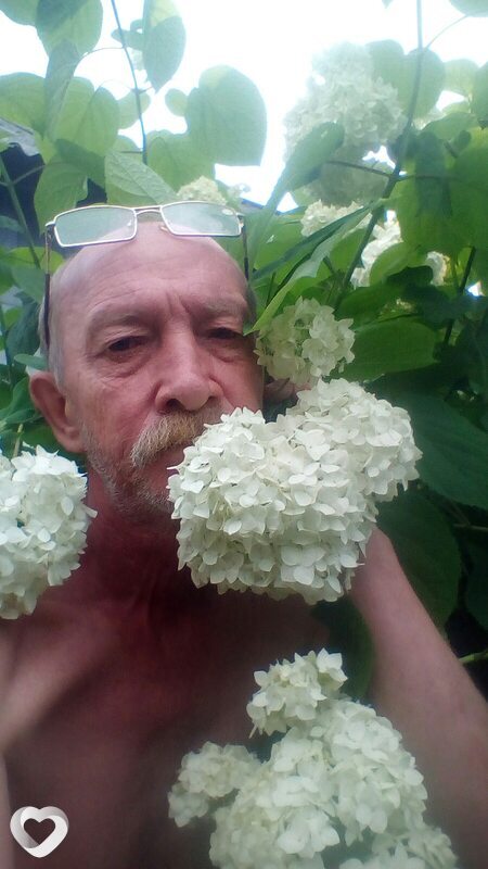 Сева