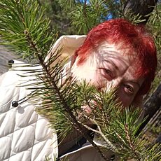 Даша, 62