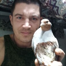 Тимур, 36