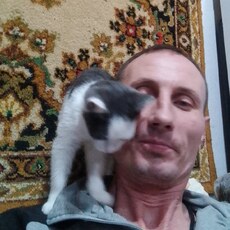 Платон, 43