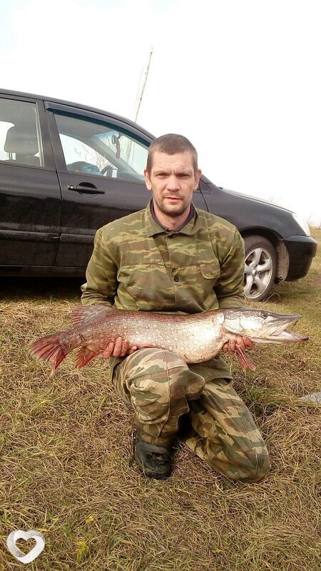 Вадим