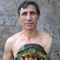 Кир, 47