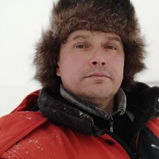 Лев, 47