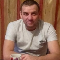 Лев, 43