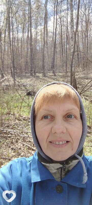 Роза