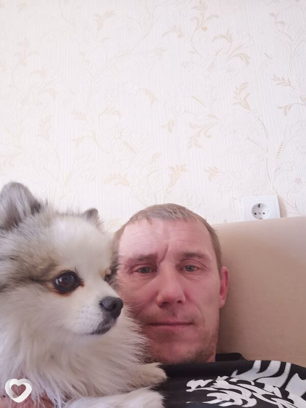 Альбик