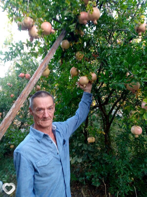 Тарас