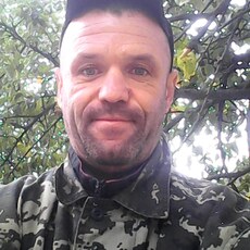 Лев, 46