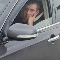 Лев, 35