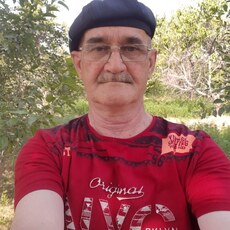 Гаврик, 67