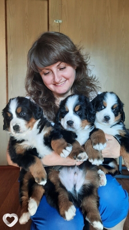 Лена