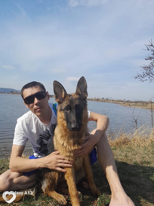 Захар