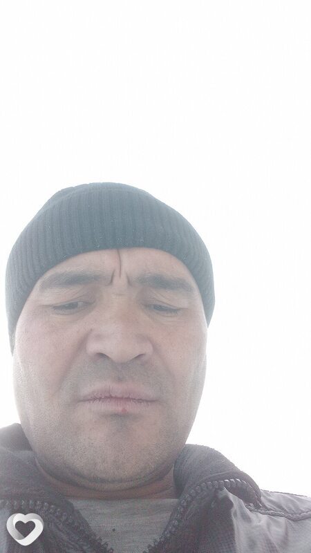 Альбик