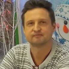 Илюха, 49