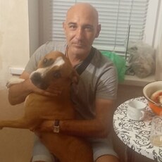 Елисей, 49