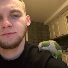 Вася, 23