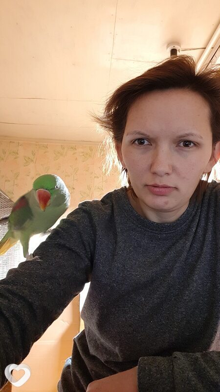Елена