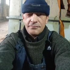 Лев, 45