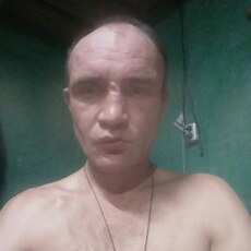 Гаврик, 37