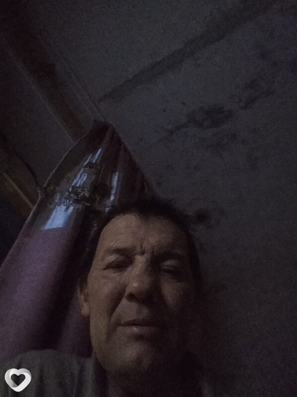 Нестор