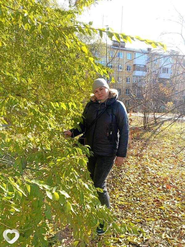 Роза