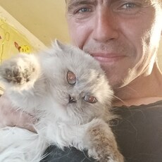 Платон, 36