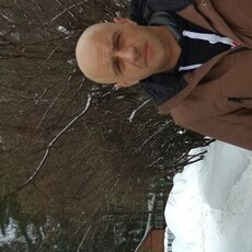 Алексей, 37