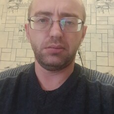 Лев, 41